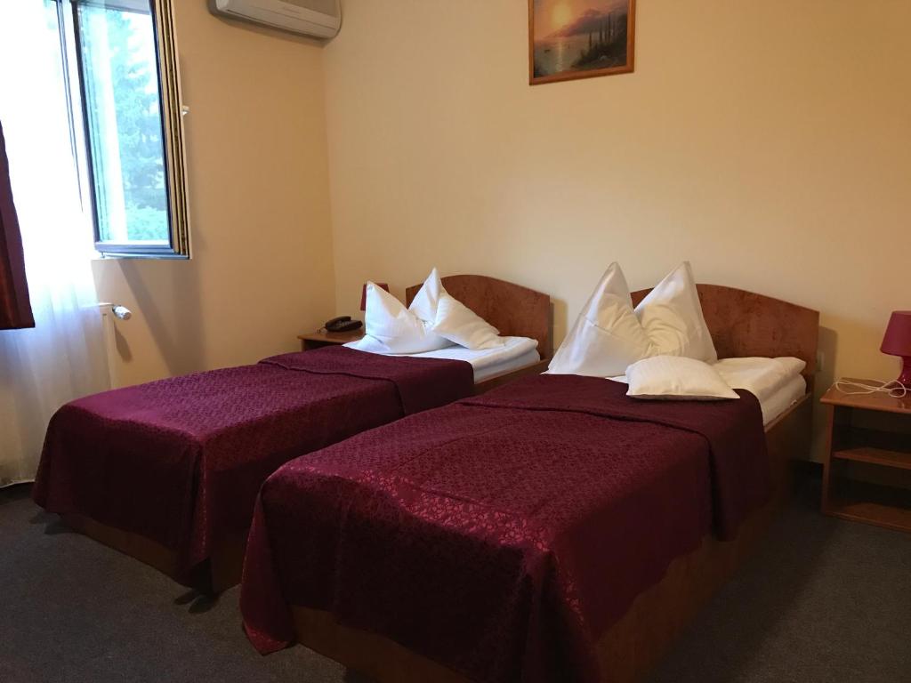 Двухместный (Двухместный номер с 2 отдельными кроватями) отеля Hotel Cardinal, Сату-Маре
