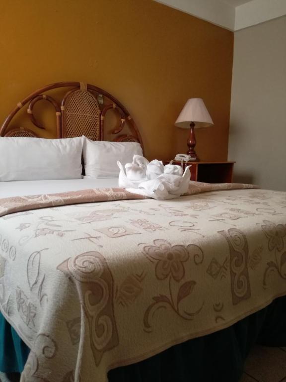 Двухместный (Двухместный номер с 2 отдельными кроватями) отеля Hotel Dinastía Colima, Колима