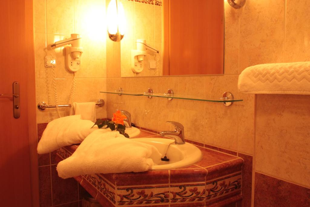 Двухместный (Двухместный номер с 1 кроватью, пакет спа-процедур) отеля Bajkal, Франтишковы-Лазне