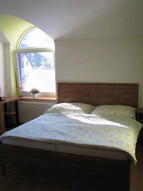 Двухместный (Стандартный двухместный номер с 1 кроватью) гостевого дома Penzion Lilie, Литомишль