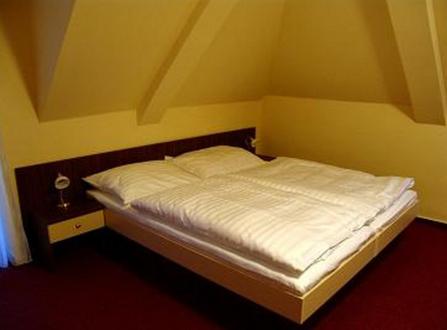 Двухместный (Двухместный номер с 1 кроватью или 2 отдельными кроватями) отеля Hotel Altenberg, Мартин (Северный регион)