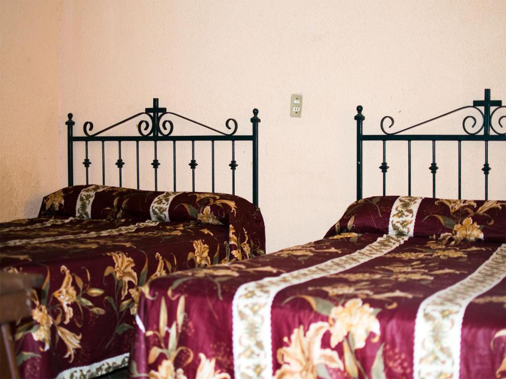 Двухместный (Двухместный номер с 2 отдельными кроватями) отеля Hotel Monte Calvario, Сан-Хуан-де-лос-Лагос