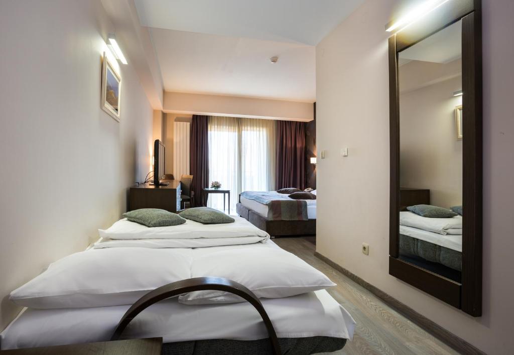 Двухместный (Двухместный номер с 1 кроватью или 2 отдельными кроватями и диваном-кроватью) отеля Hotel Stara Planina, Куштица