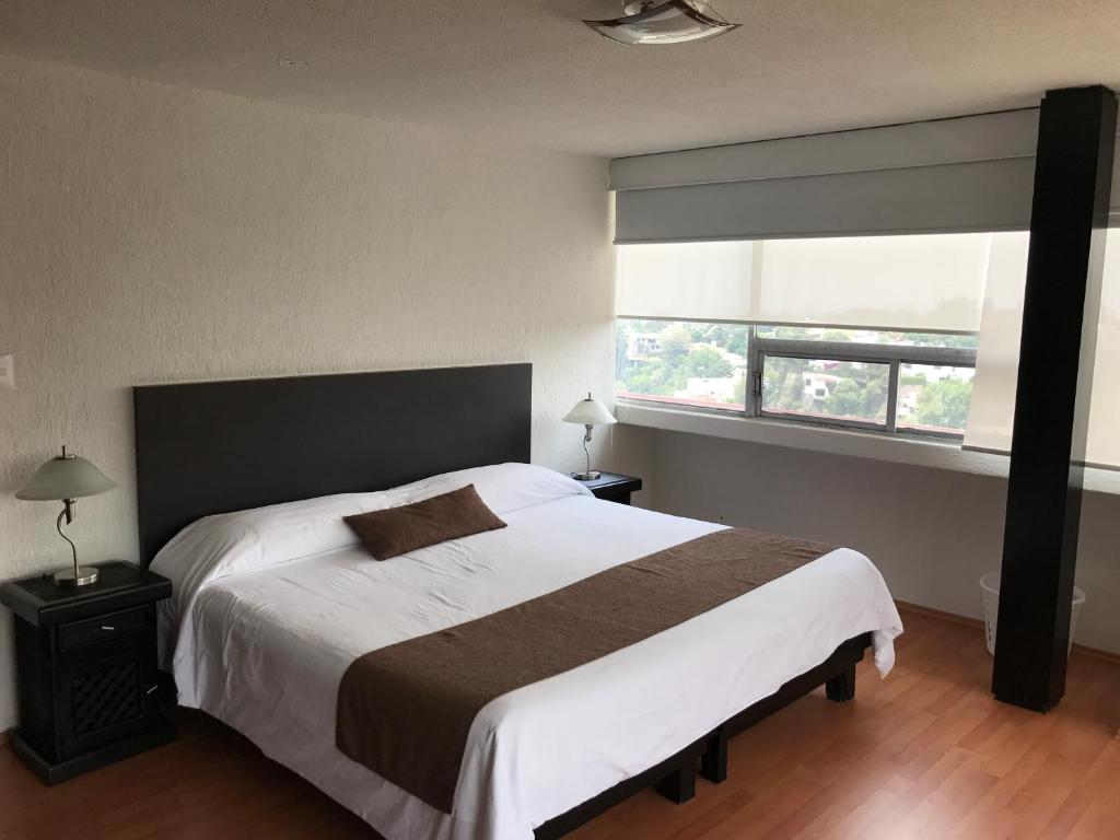 Апартаменты (Апартаменты) апарт-отеля Bosque de Magnolias 93, Мехико