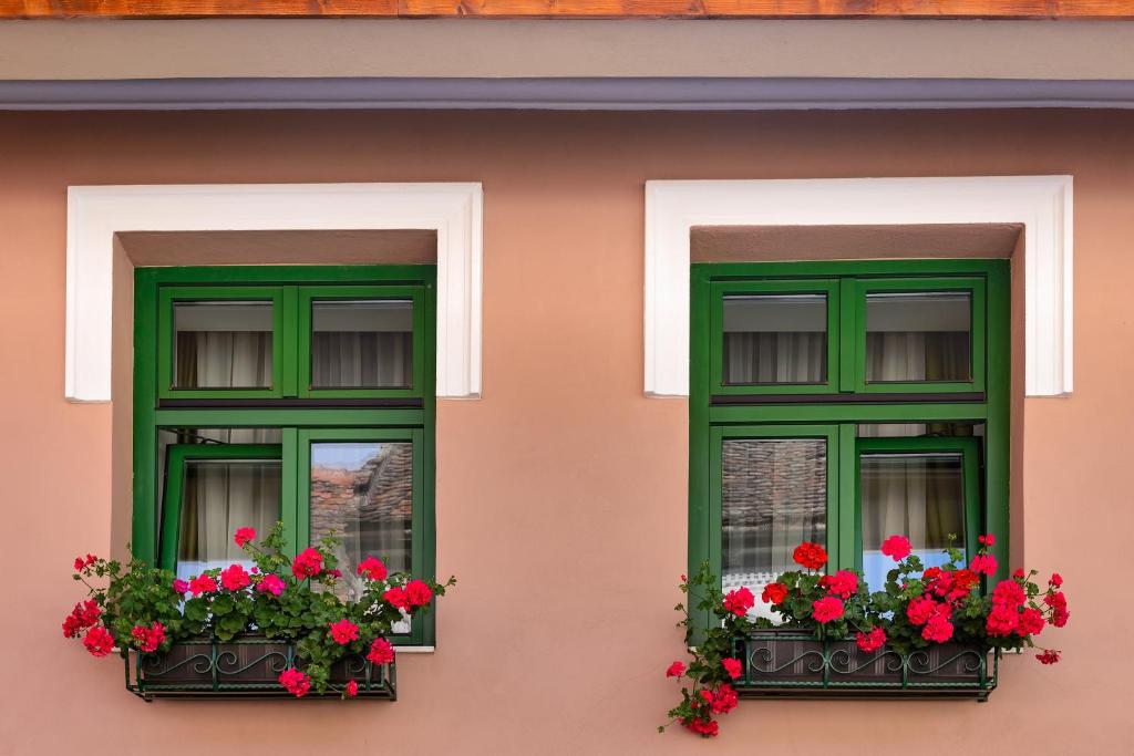 Двухместный (Двухместный номер с 1 кроватью и мини-кухней (Тюльпан)) апарт-отеля Blumenhaus Sibiu, Сибиу