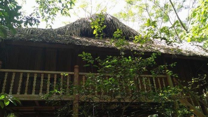 Курортный отель Quyets Jungle House, Хазянг