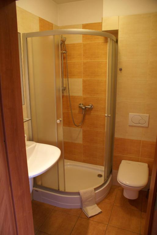 Двухместный (Двухместный номер с 1 кроватью и собственной ванной комнатой) семейного отеля Willa Moja Gawra, Лёндек-Здруй