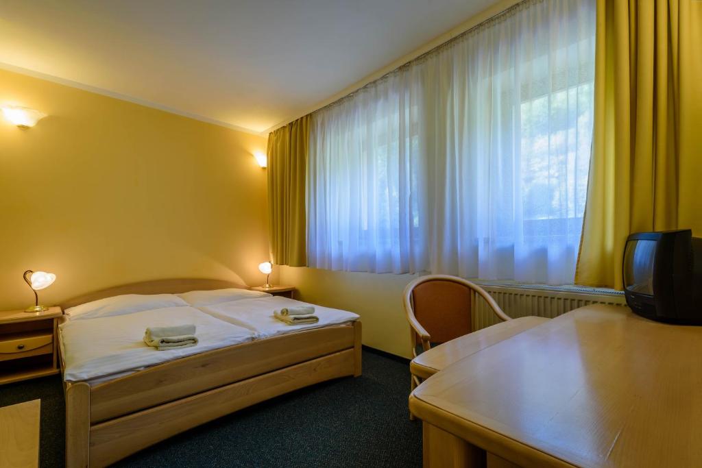Двухместный (Двухместный номер с 1 кроватью или 2 отдельными кроватями) отеля Hotel Boboty, Терхова