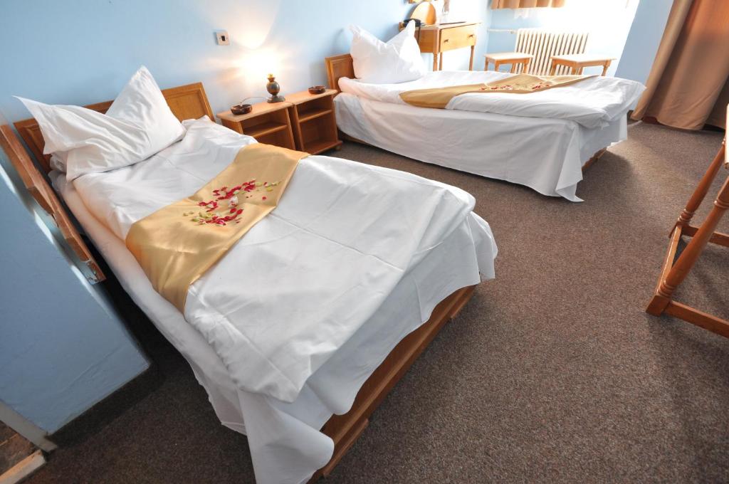 Двухместный (Двухместный номер с 2 отдельными кроватями) отеля Hotel Dobrogea, Констанца