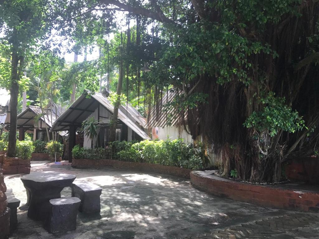 Номер (Стандартное бунгало с вентилятором), Pine Bungalow Krabi