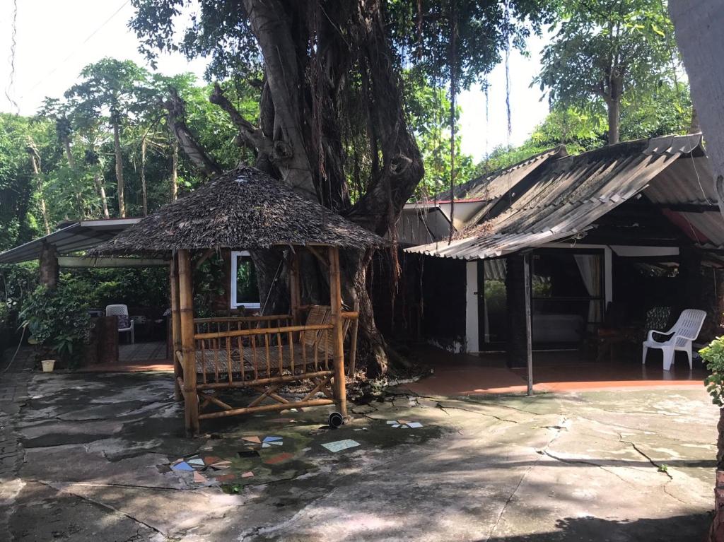 Номер (Бунгало - С видом на пляж), Pine Bungalow Krabi