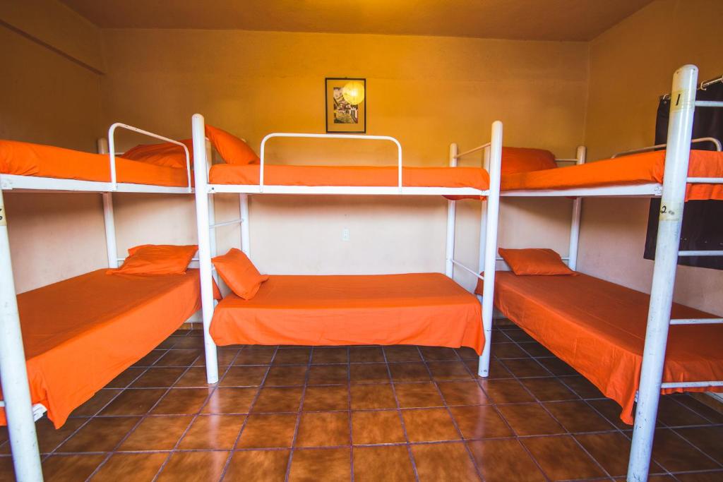 Номер (Односпальная кровать в общем номере для мужчин и женщин) хостела Oasis Original Hostel, Пуэрто-Вальярта