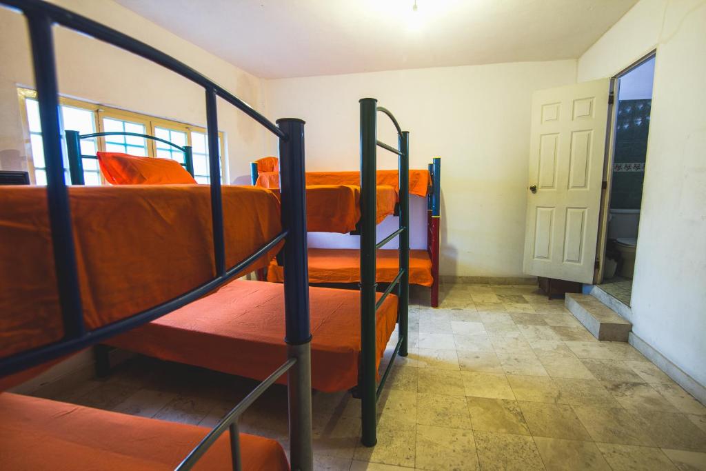 Номер (Односпальная кровать в общем номере для женщин) хостела Oasis Original Hostel, Пуэрто-Вальярта