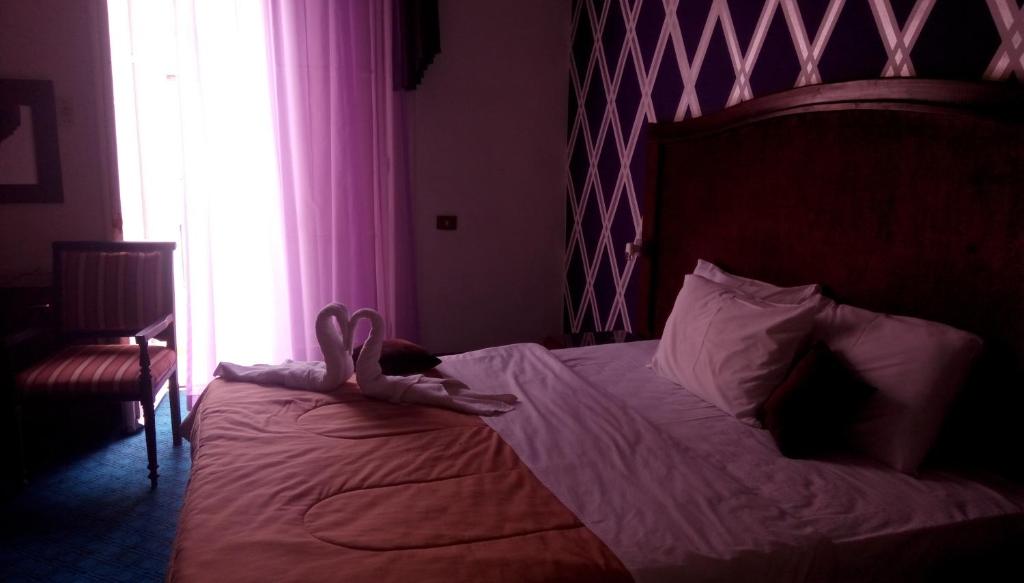 Двухместный (Двухместный номер Делюкс с 2 отдельными кроватями) отеля Cairo Paradise Hotel, Каир