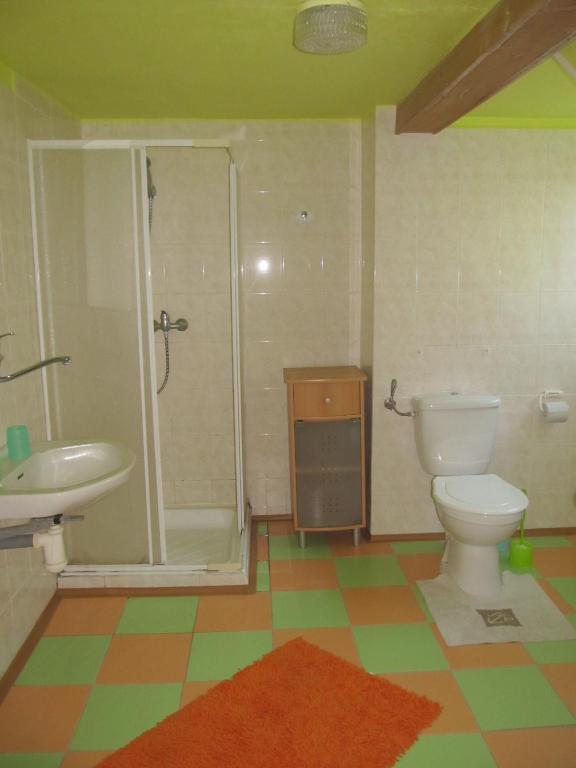 Двухместный (Двухместный номер с 1 кроватью или 2 отдельными кроватями, общая ванная комната) гостевого дома Tomy Pihlov, Горни-Плана