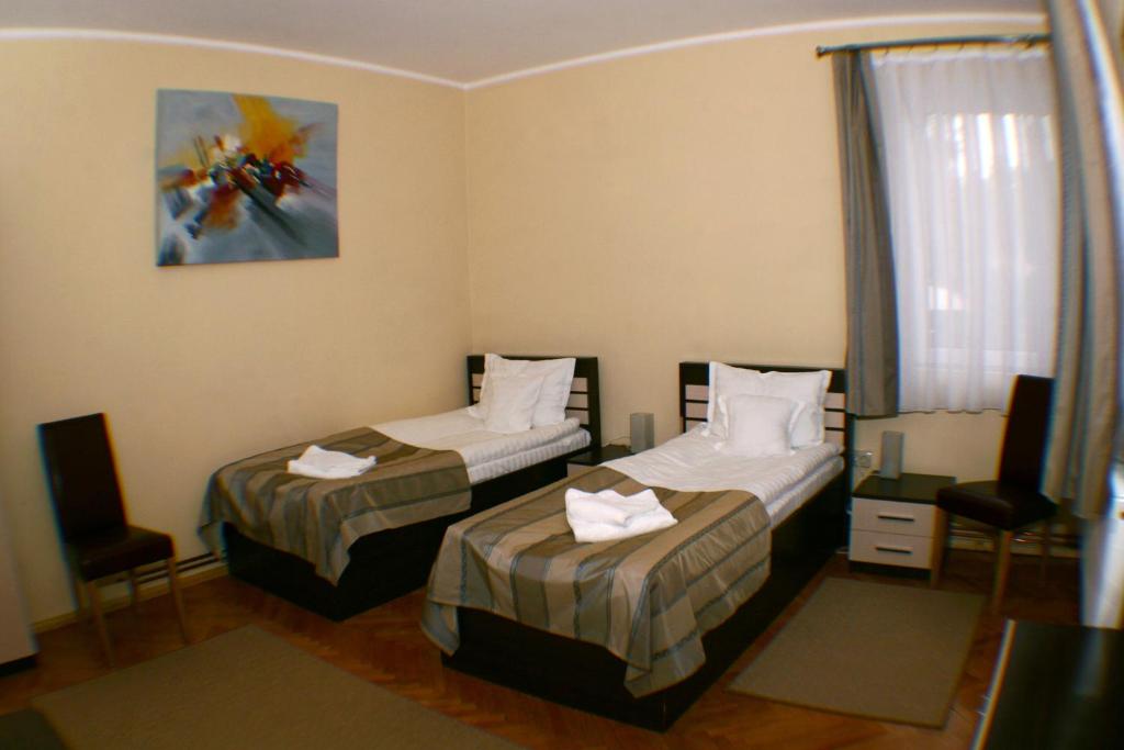 Двухместный (Двухместный номер с 2 отдельными кроватями) гостевого дома Villa Parc, Клуж-Напока