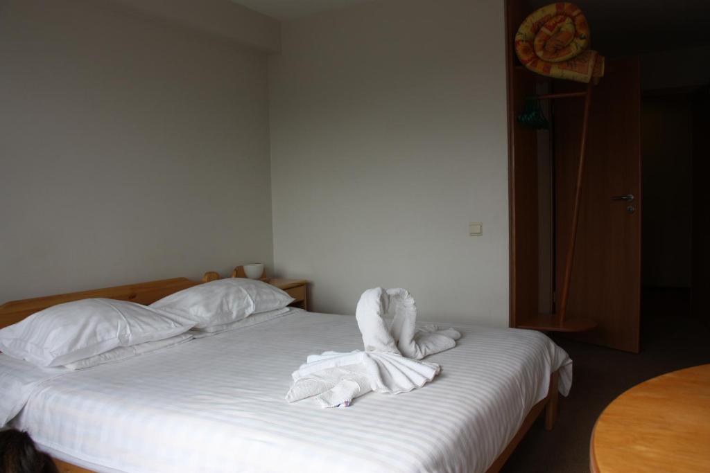 Двухместный (Двухместный номер с 1 кроватью) отеля Hotel Madona, Мадона