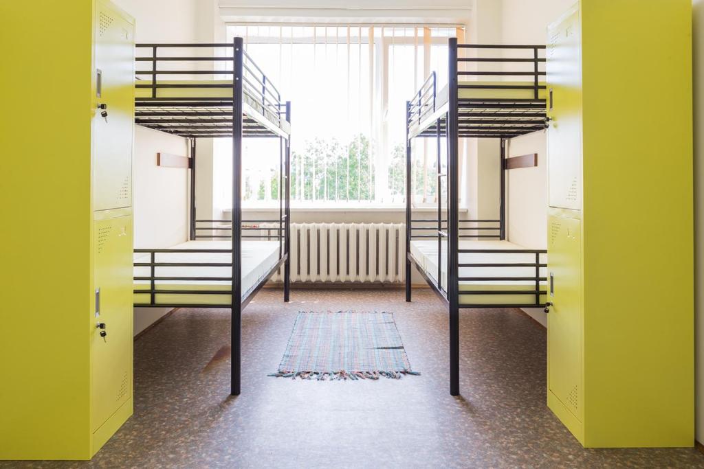 Номер (Спальное место на двухъярусной кровати в общем номере для женщин) хостела EHE Hostel, Таллин