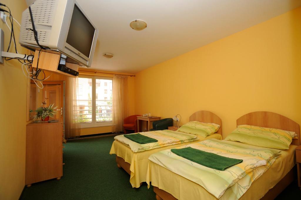 Двухместный (Двухместный номер с 1 кроватью или 2 отдельными кроватями) апарт-отеля Hotel City, Пардубице