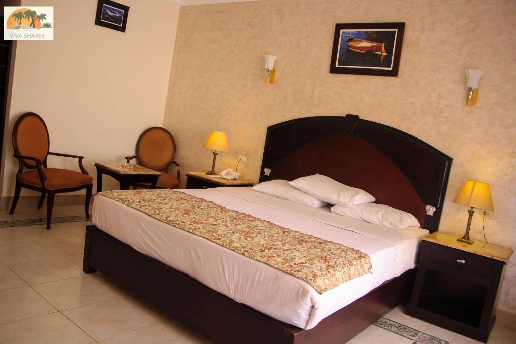 Одноместный (Стандартный одноместный номер) курортного отеля Viva Sharm, Шарм-эль-Шейх