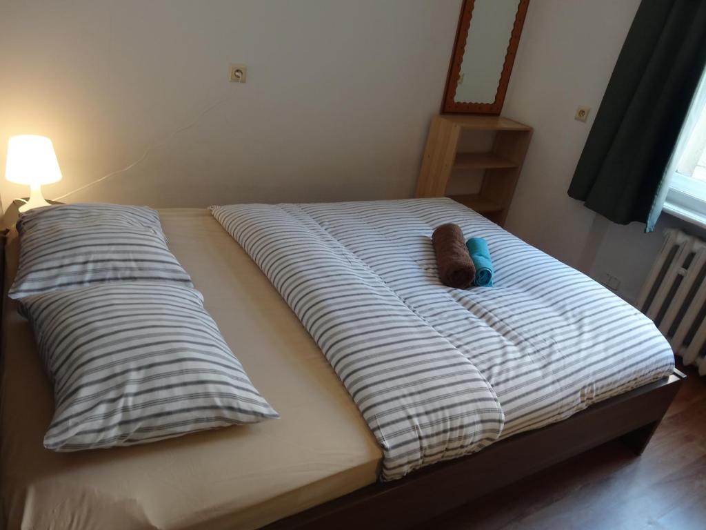 Двухместный (Стандартный двухместный номер с 1 кроватью и общей ванной комнатой) семейного отеля U Romana, Познань