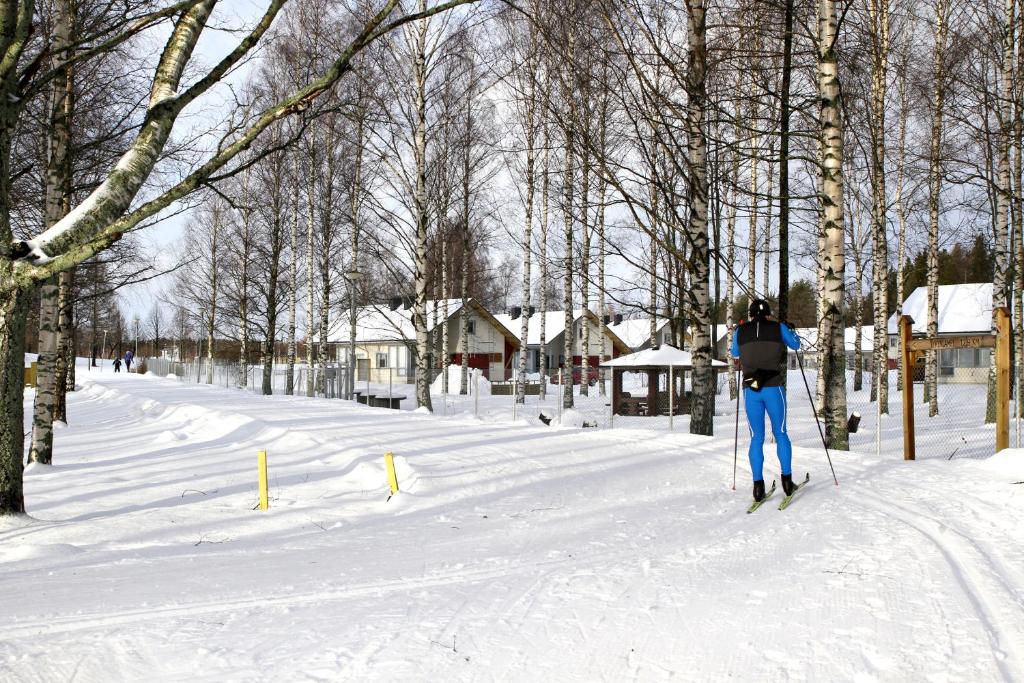 Апартаменты (Апартаменты с 1 спальней и сауной), Holiday Linnunlahti