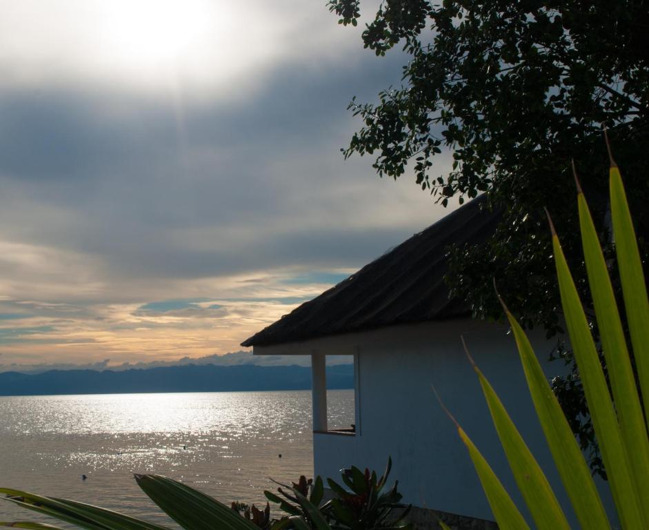 Сьюит (Люкс «Премьер») курортного отеля Quo Vadis Dive Resort, Моалбоал