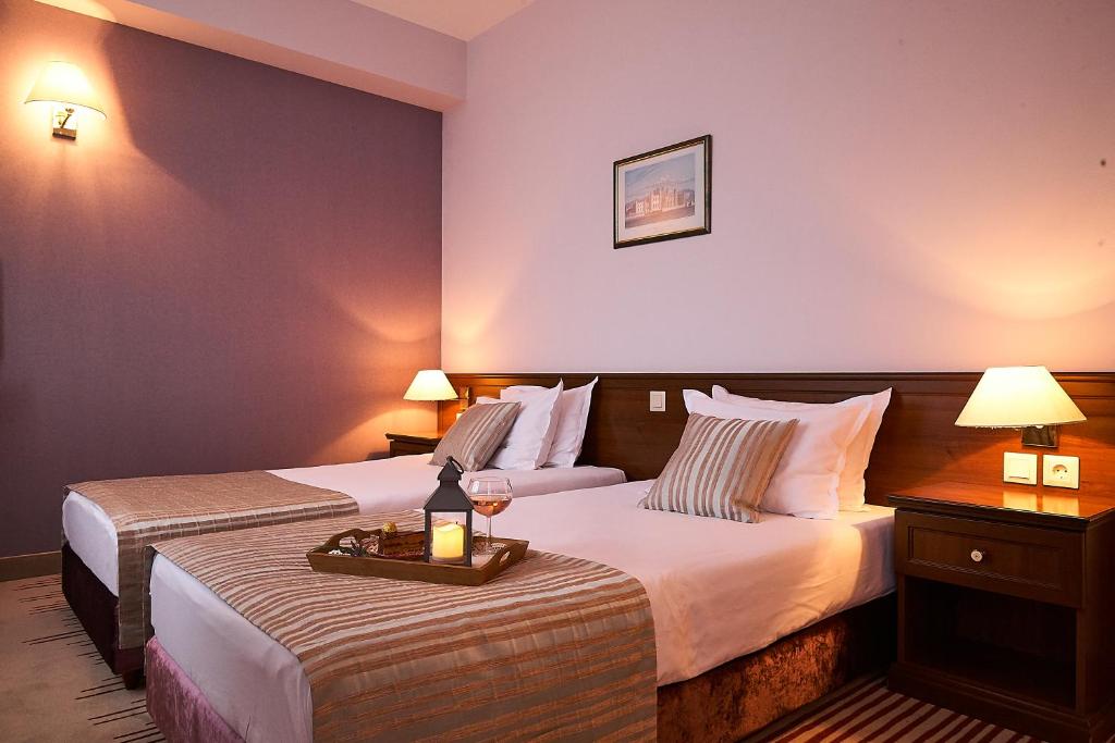 Двухместный (Двухместный номер с 1 кроватью или 2 отдельными кроватями - Специальное предложение) отеля Hotel Lion Sofia, София