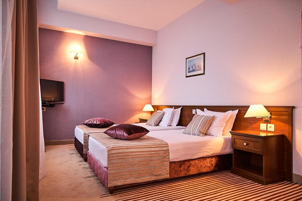 Двухместный (Двухместный номер с 1 кроватью или 2 отдельными кроватями) отеля Hotel Lion Sofia, София