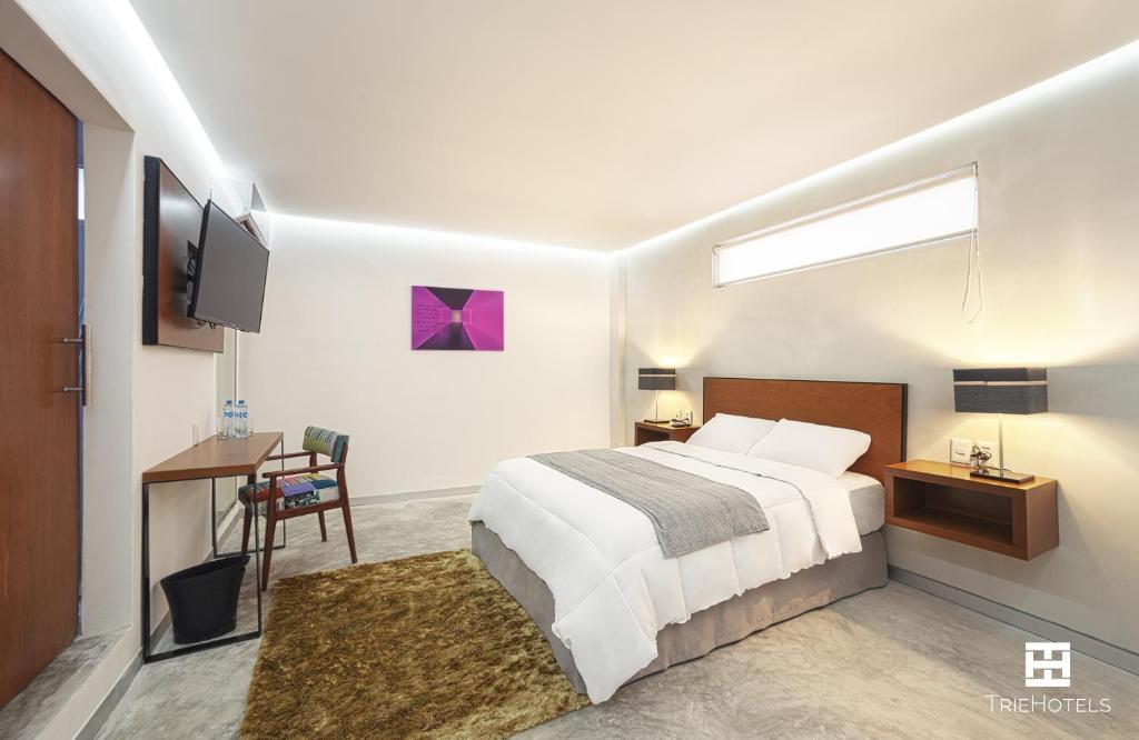 Двухместный (Номер Делюкс с кроватью размера «queen-size») отеля Hotel Urban 101, Четумаль