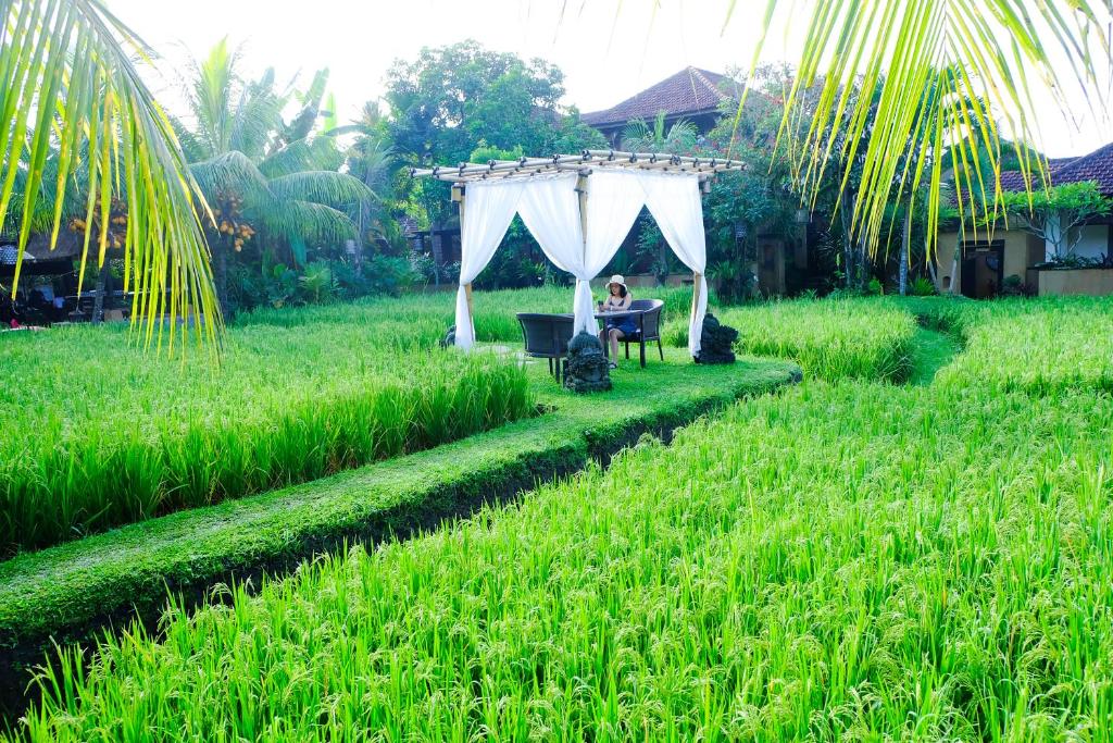 Bebek Tepi Sawah Restaurant & Villas