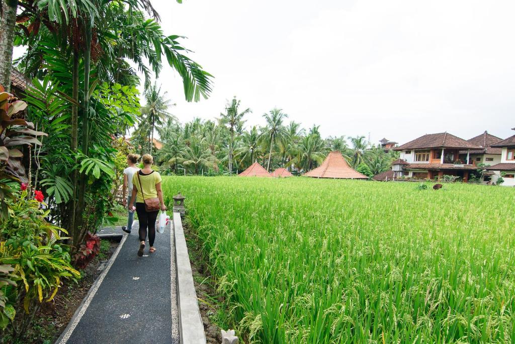 Двухместный (Номер Делюкс с видом на рисовые поля), Puji Hostel and Bungalow Ubud