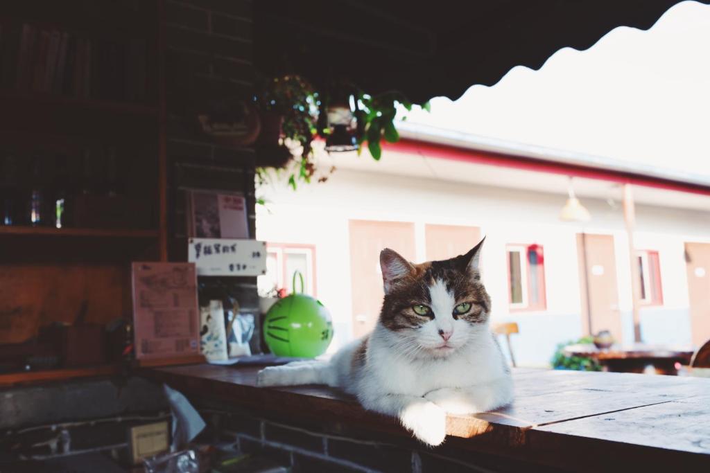 Трехместный (Трехместный номер), Chengdu Dreams Travel International Youth Hostel