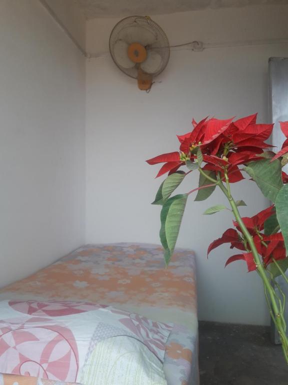 Одноместный (Одноместный номер с общим душем и туалетом) гостевого дома Ganga Paying Guest House, Варанаси