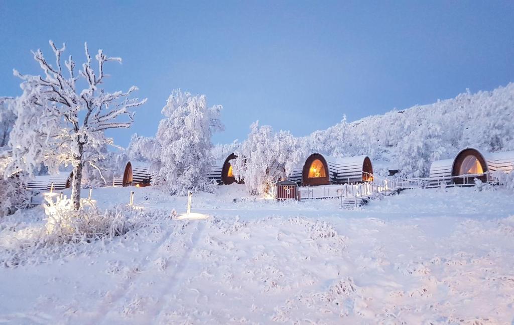 Номер (Коттедж), Kirkenes Snowhotel