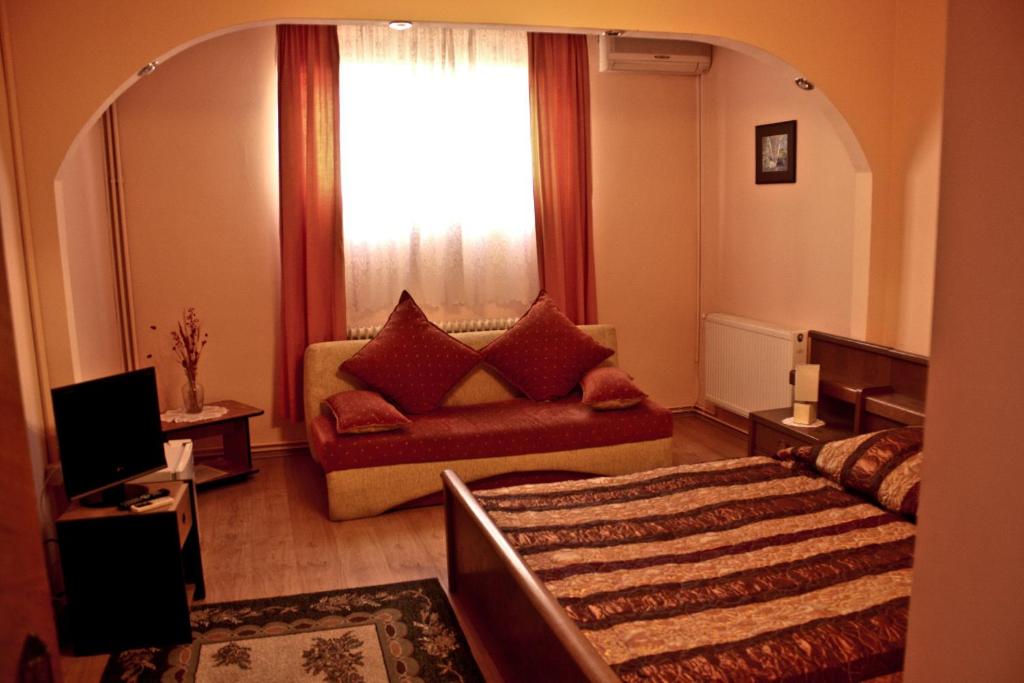 Двухместный (Двухместный номер с 1 кроватью или 2 отдельными кроватями) гостевого дома Pensiunea Vlad Home, Тимишоара
