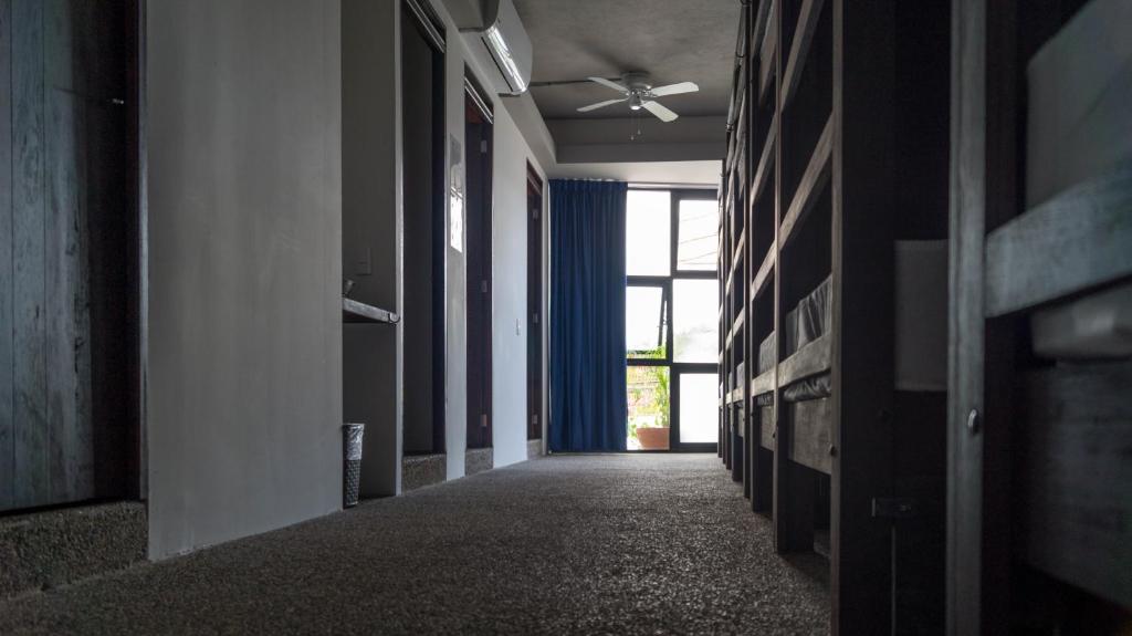 Номер (Single Bed in Mixed Dormitory Room - Cantinflas) хостела Los Muertos Hostal, Пуэрто-Вальярта