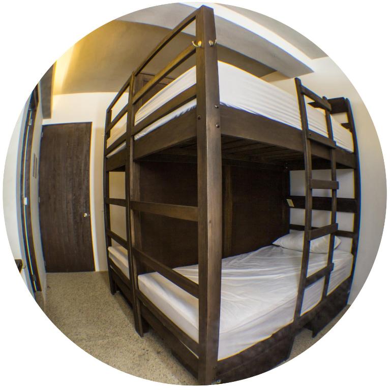 Номер (Single Bed in 8-Bed Dormitory Room - Frida), Los Muertos Hostal