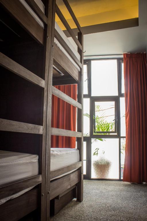 Номер (Single Bed in 8-Bed Dormitory Room - Frida), Los Muertos Hostal