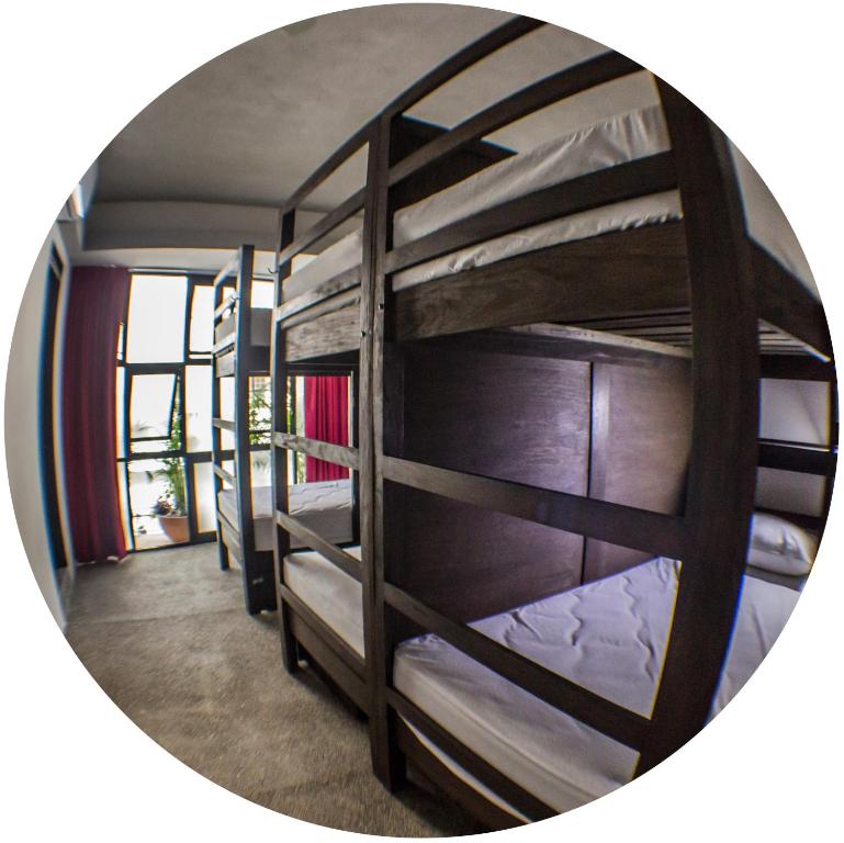 Номер (Single Bed in 6-Bed Dormitory Room - Zapata), Los Muertos Hostal