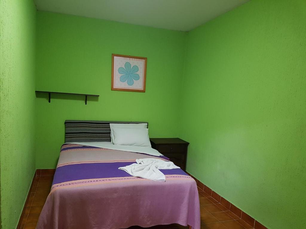 Двухместный (Двухместный номер с 1 кроватью) отеля Hotel Nuevo Cupatitzio, Уруапан