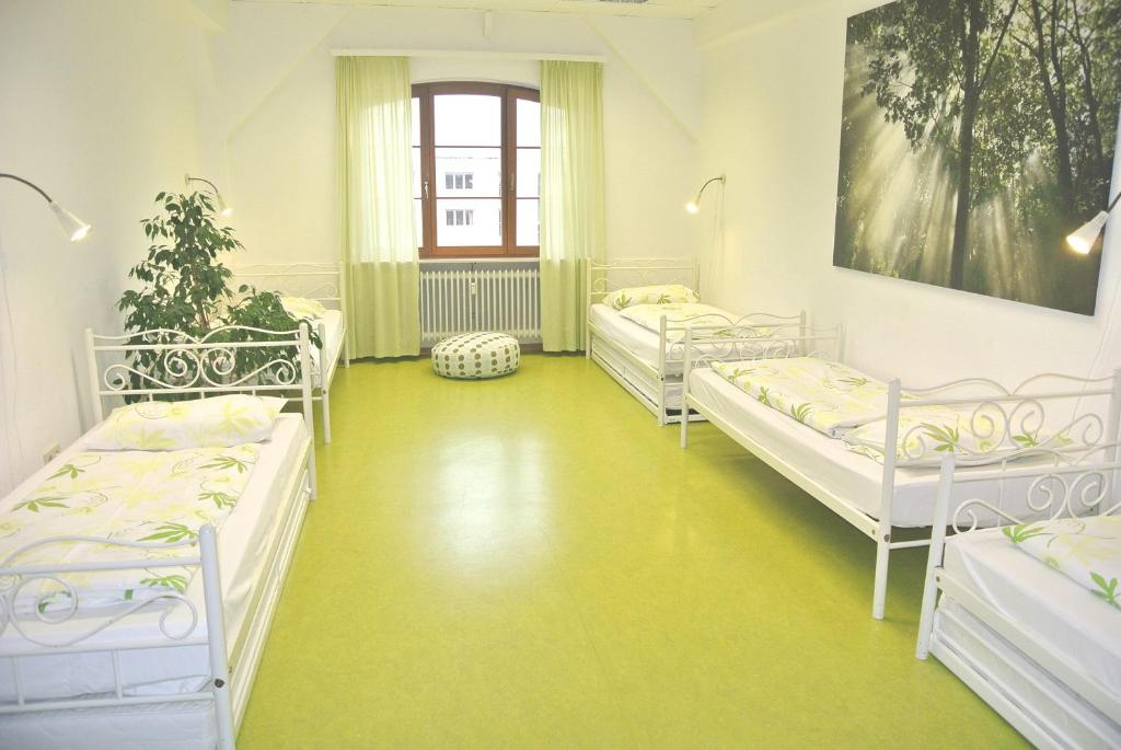 Номер (Односпальная кровать в общем номере для мужчин и женщин) хостела Steffis Hostel Heidelberg, Гейдельберг