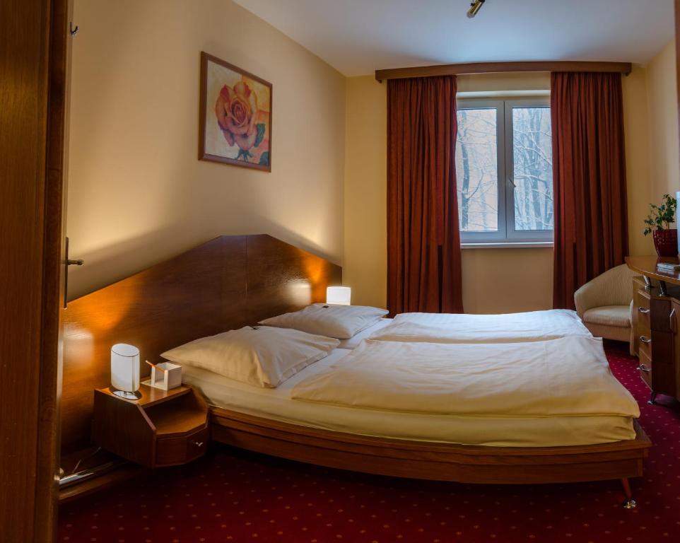 Двухместный (Стандартный двухместный номер с 1 кроватью) отеля Hotel West, Братислава