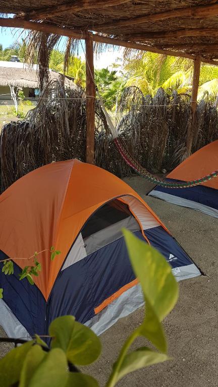 Отель Camping Coconut, Холбокс