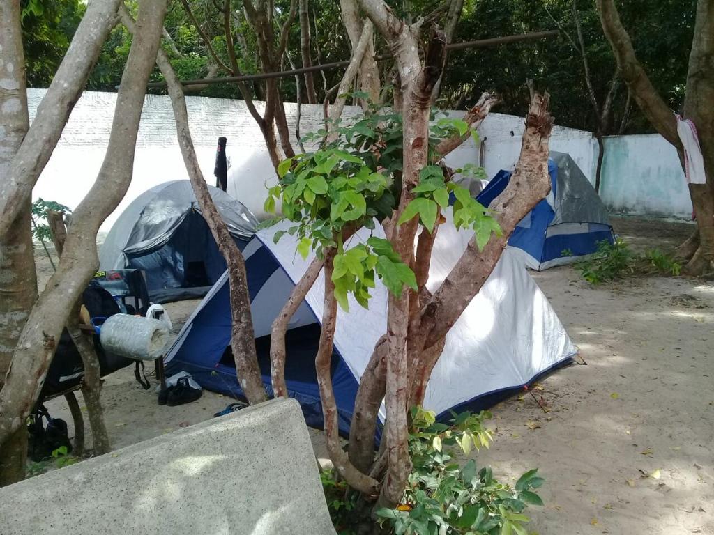 Кемпинг Camping e hostel do tatu, Пипа