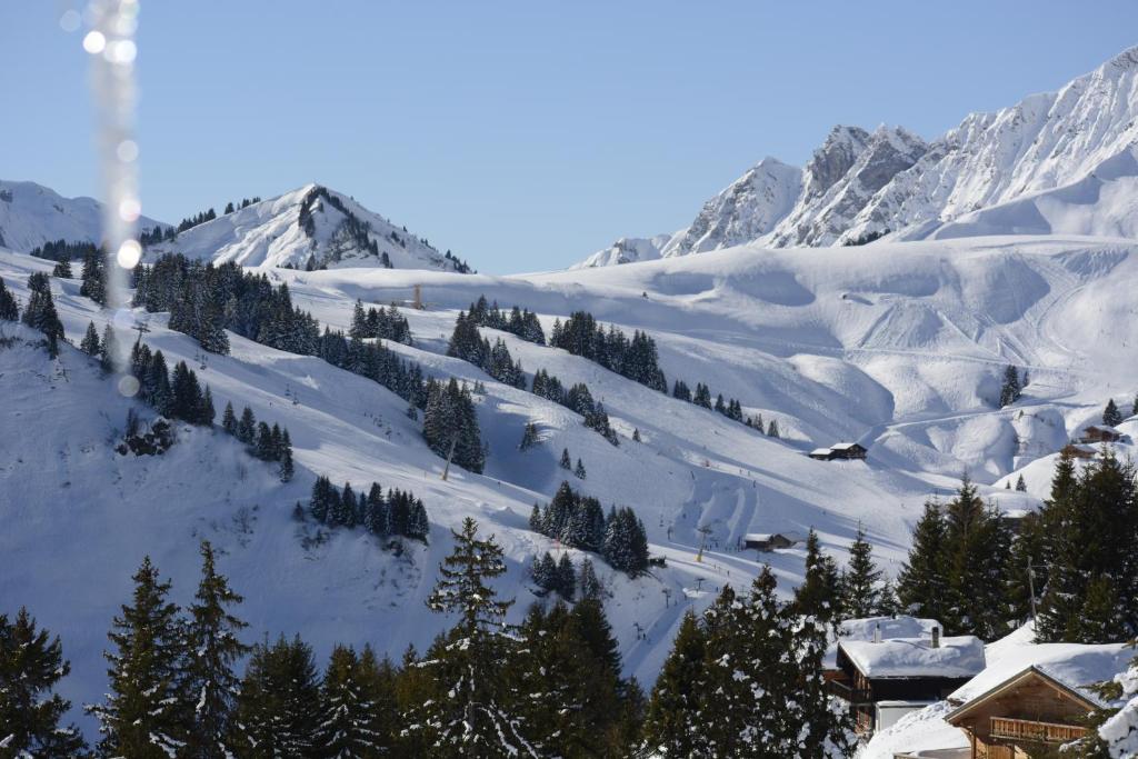 Номер (Шале), Chalet La Folie