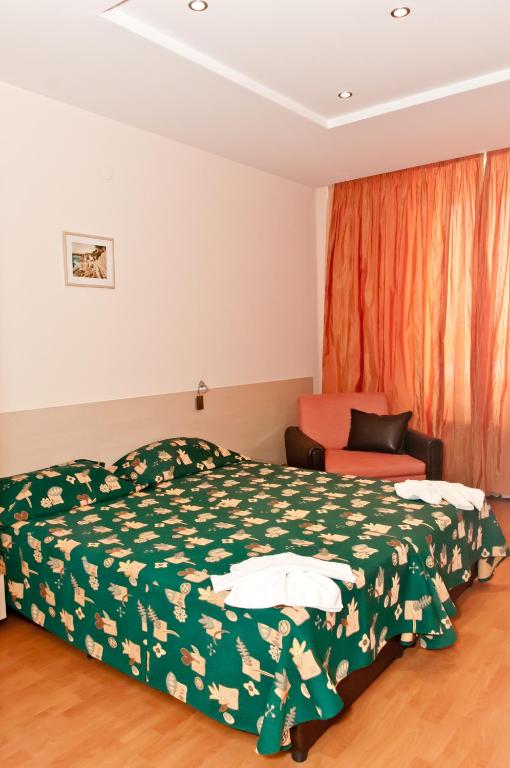 Двухместный (Улучшенный двухместный номер с 1 кроватью и бесплатной охраняемой парковкой) отеля Hotel Astra, София