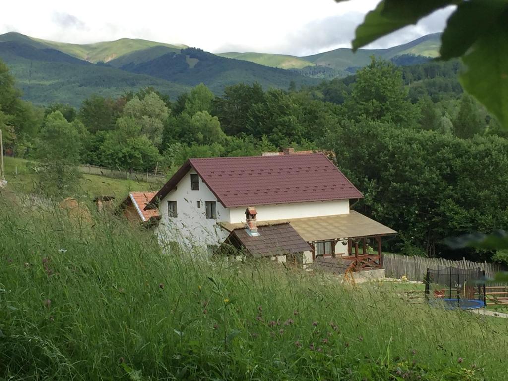 Вилла (Вилла с 5 спальнями), Cabana Valea Floreiului