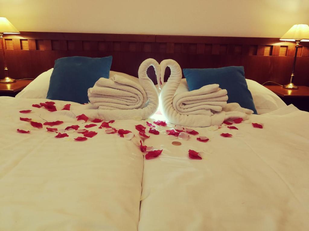 Двухместный (Специальное предложение - Двухместный номер с 1 кроватью или 2 отдельными кроватями и романтическим пакетом услуг) отеля Hotel Villa Ostrava 3+, Острава