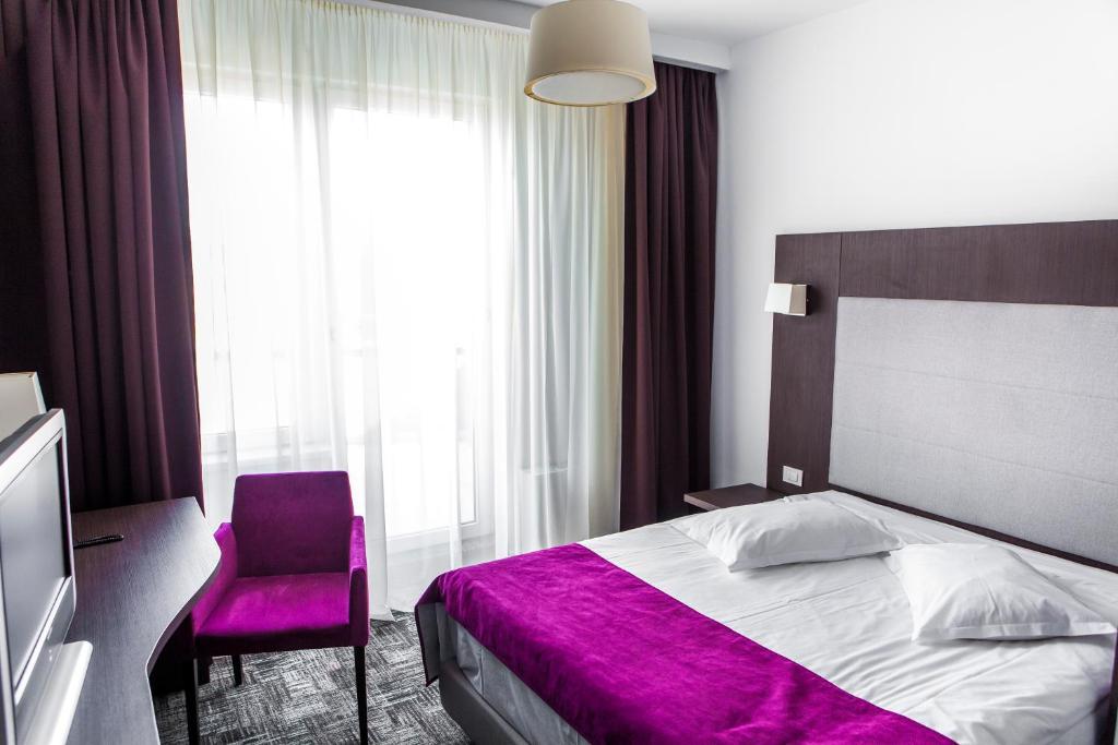 Двухместный (Стандартный двухместный номер с 1 кроватью) отеля Hotel Europeca, Крайова